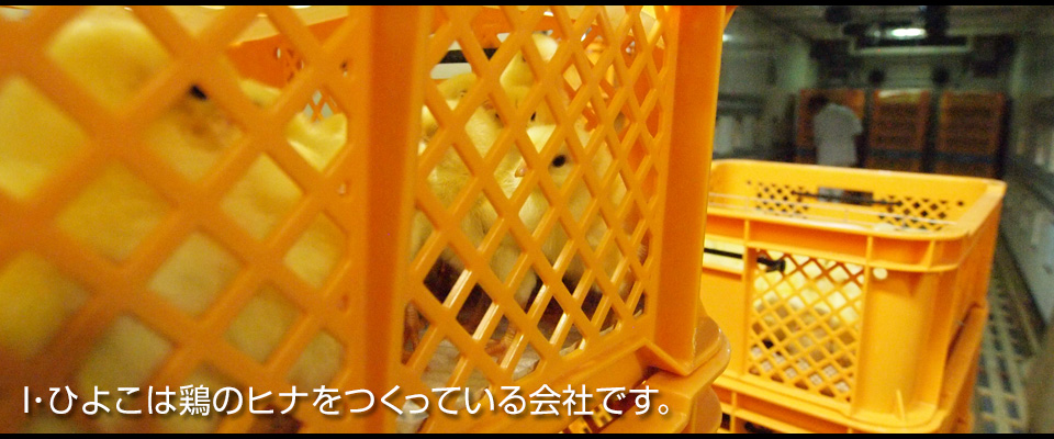 I�E�Ђ悱�͌{�̃q�i�������Ă����Ђł��B